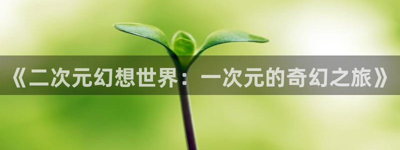 火狼动漫网在线看